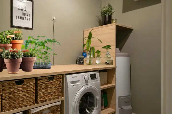Como adaptar sua lavanderia para virar uma mini horta funcional