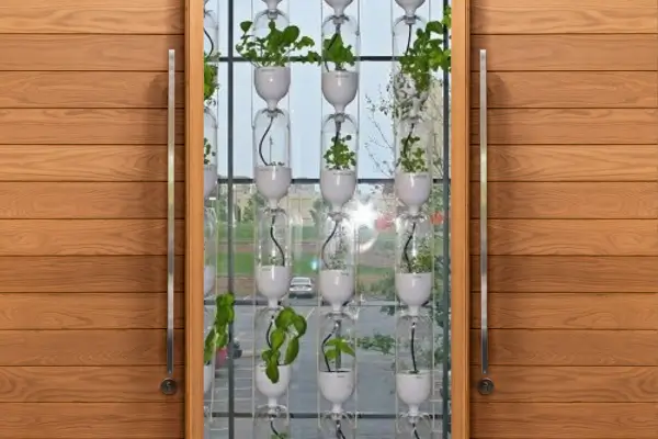  Como esconder sua horta na lavanderia sem perder acesso fácil