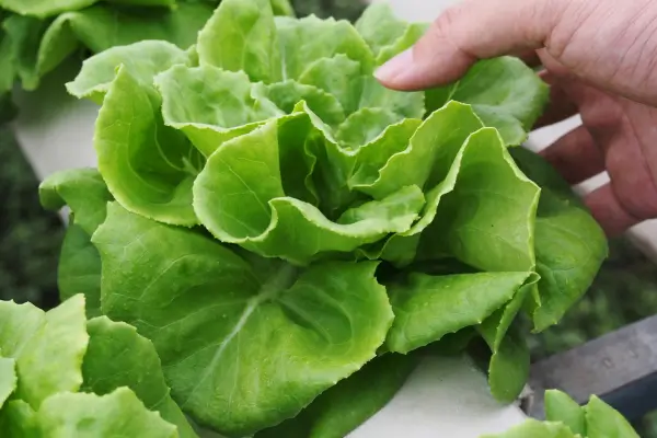 Os erros mais comuns de quem começa e como evitá-los