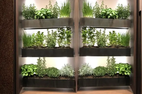 Como montar uma horta invisível em apartamentos pequenos